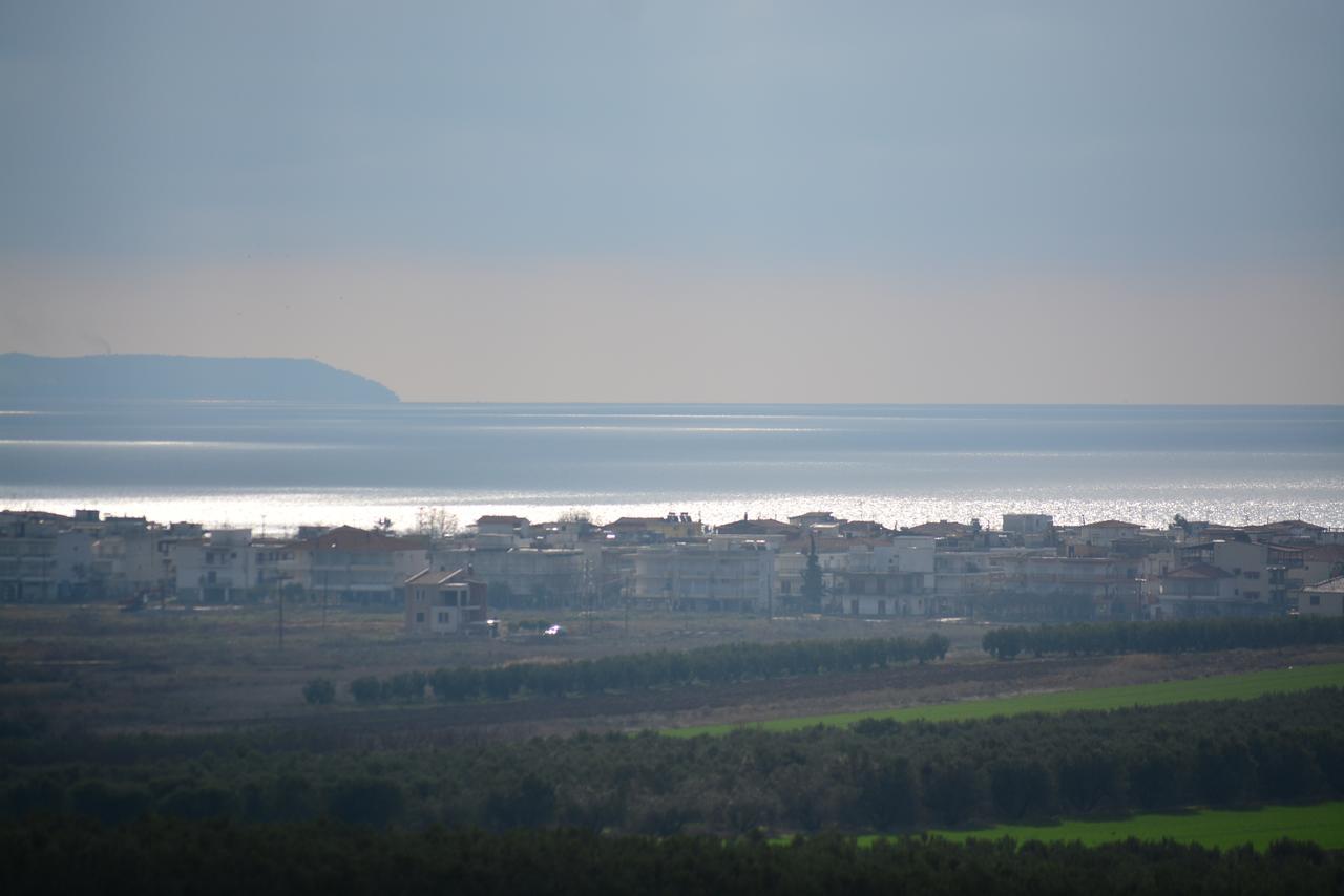 Apartments Dimitra Paralia Dionysiou Buitenkant foto